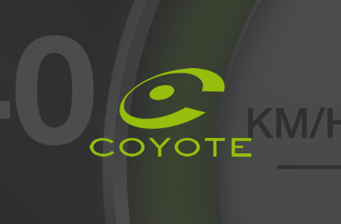 Coyote